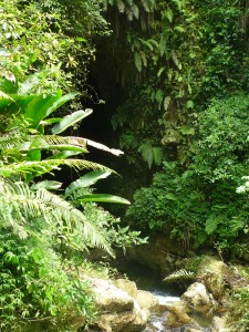 Entrée de la grotte camouflée dans la végétation