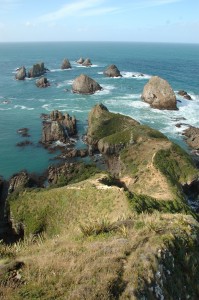 Nugget point 