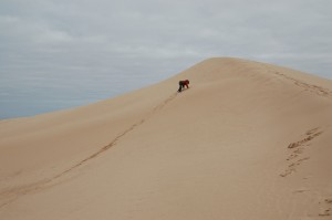 Escalade sur les dunes