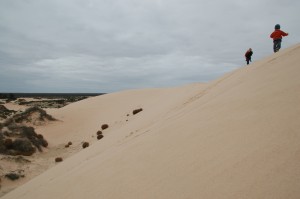 Promenade sur les crètes dunaires